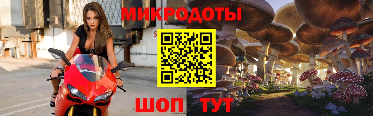 Псилоцибиновые грибы GOLDEN TEACHER Дивногорск