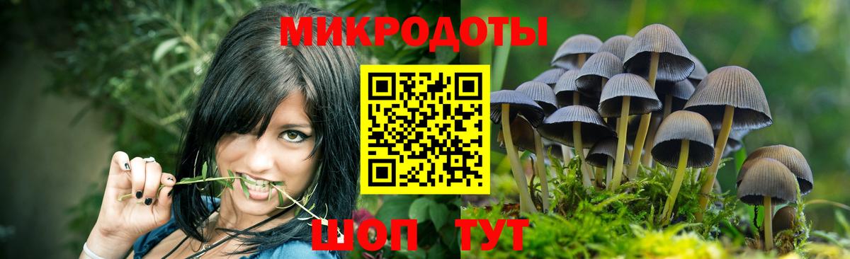 Галлюциногенные грибы Magic Shrooms  Псилоцибиновые грибы Psilocybe  Вход с VPN  Дивногорск 